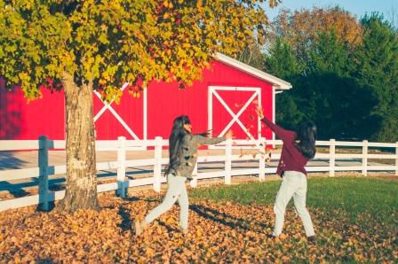 Fall Pictures